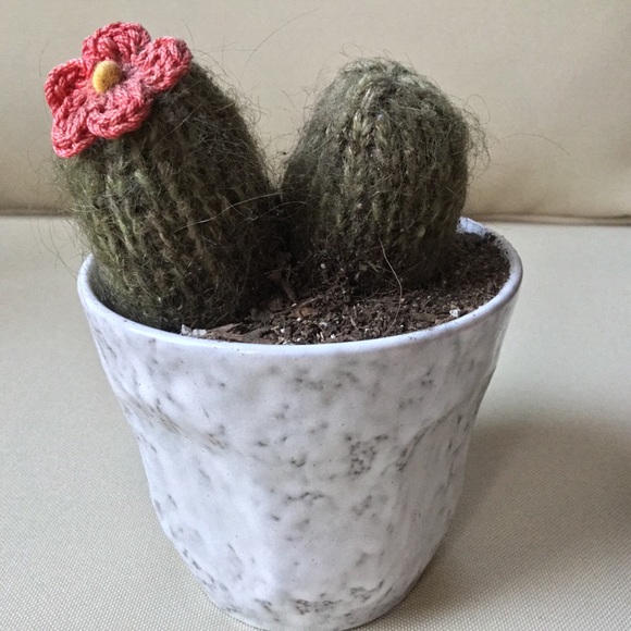 Other - Knit Cactus
